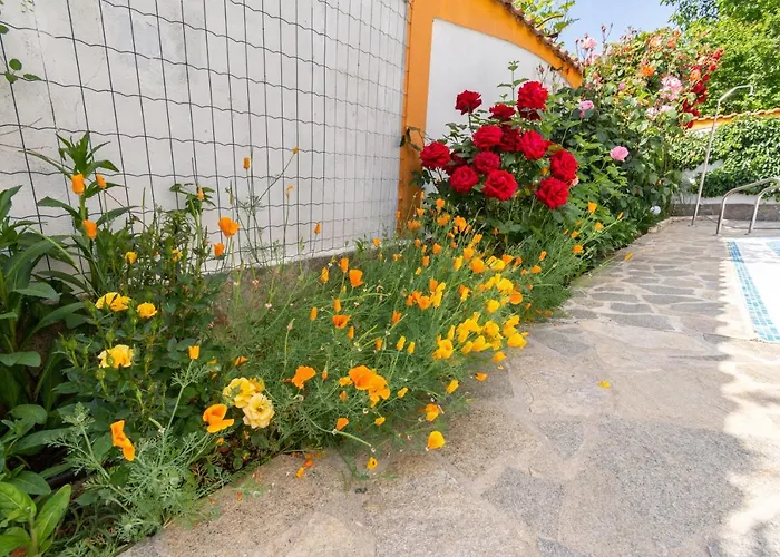 게스트하우스 Rosen 로제넷츠