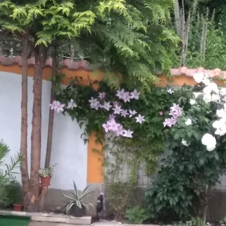 Rosen