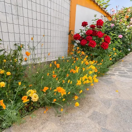 Къща за гости Rosen Лозенец